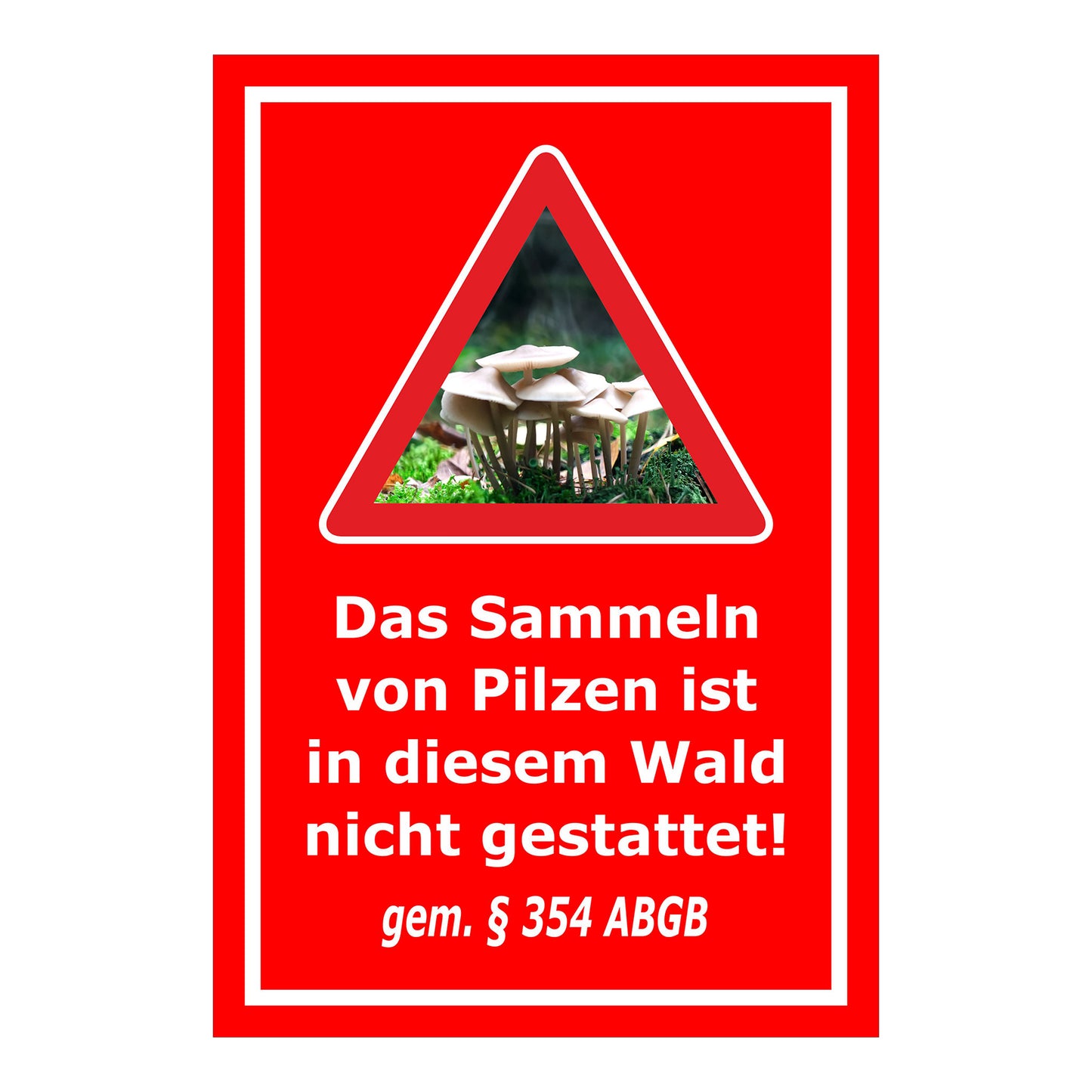 Schild Pilzesammeln verboten – Hinweis nach ABGB ‚Das Sammeln von Pilzen ist in diesem Wald nicht gestattet! gem. § 354 ABGB‘ in rot mit weißer Schrift