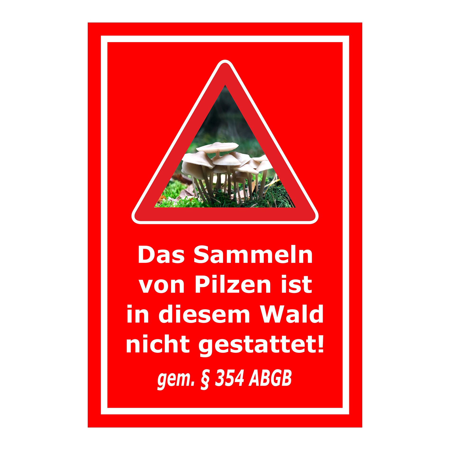 Schild Pilzesammeln verboten – Hinweis nach ABGB ‚Das Sammeln von Pilzen ist in diesem Wald nicht gestattet! gem. § 354 ABGB‘ in rot mit weißer Schrift
