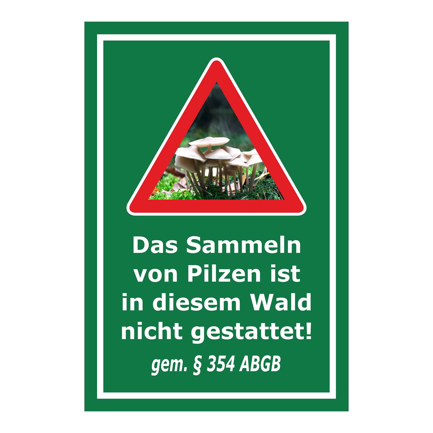 Schild Pilzesammeln verboten – Hinweis nach ABGB ‚Das Sammeln von Pilzen ist in diesem Wald nicht gestattet! gem. § 354 ABGB‘ in grün mit weißer Schrift