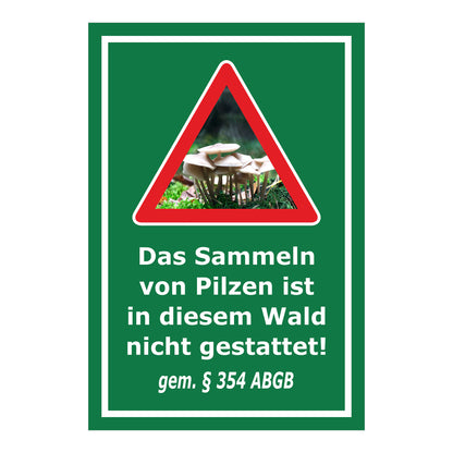 Schild Pilzesammeln verboten – Hinweis nach ABGB ‚Das Sammeln von Pilzen ist in diesem Wald nicht gestattet! gem. § 354 ABGB‘ in grün mit weißer Schrift