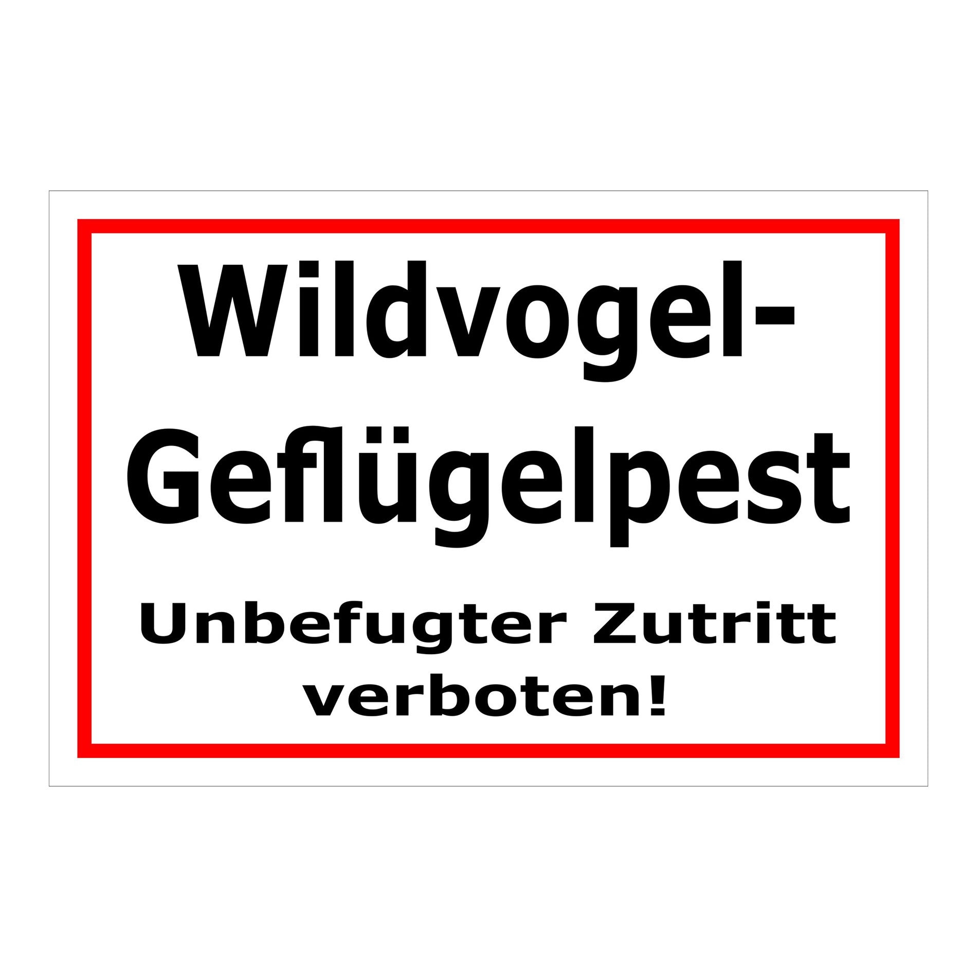 Schild Wildvogel-Geflügelpest Unbefugter Zutritt verboten weißer Hintergrund roter Rahmen