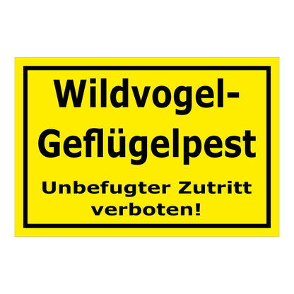 Schild Wildvogel-Geflügelpest Unbefugter Zutritt verboten gelber Hintergrund schwarzer Rahmen