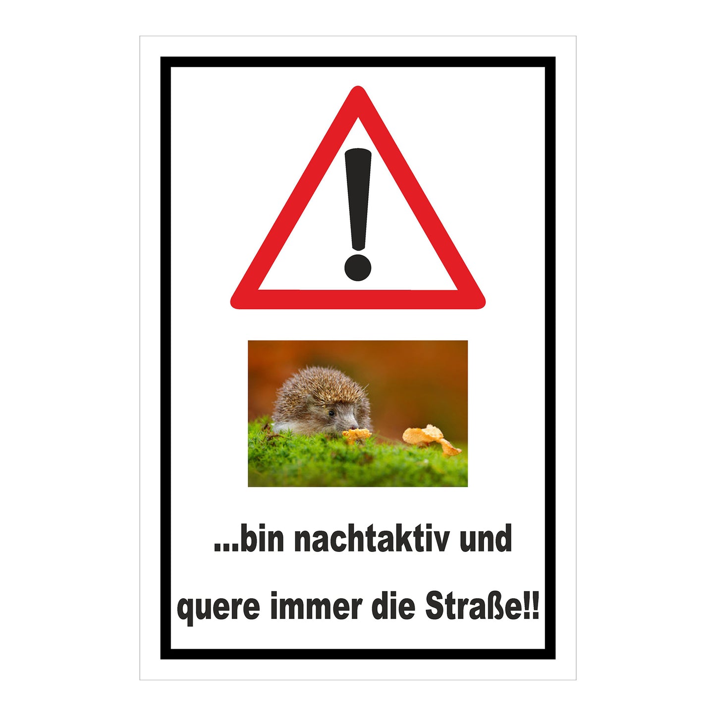Schild Achtung Igel bin nachtaktiv und quere immer die Straße mit weißem Hintergrund und schwarzem Rand