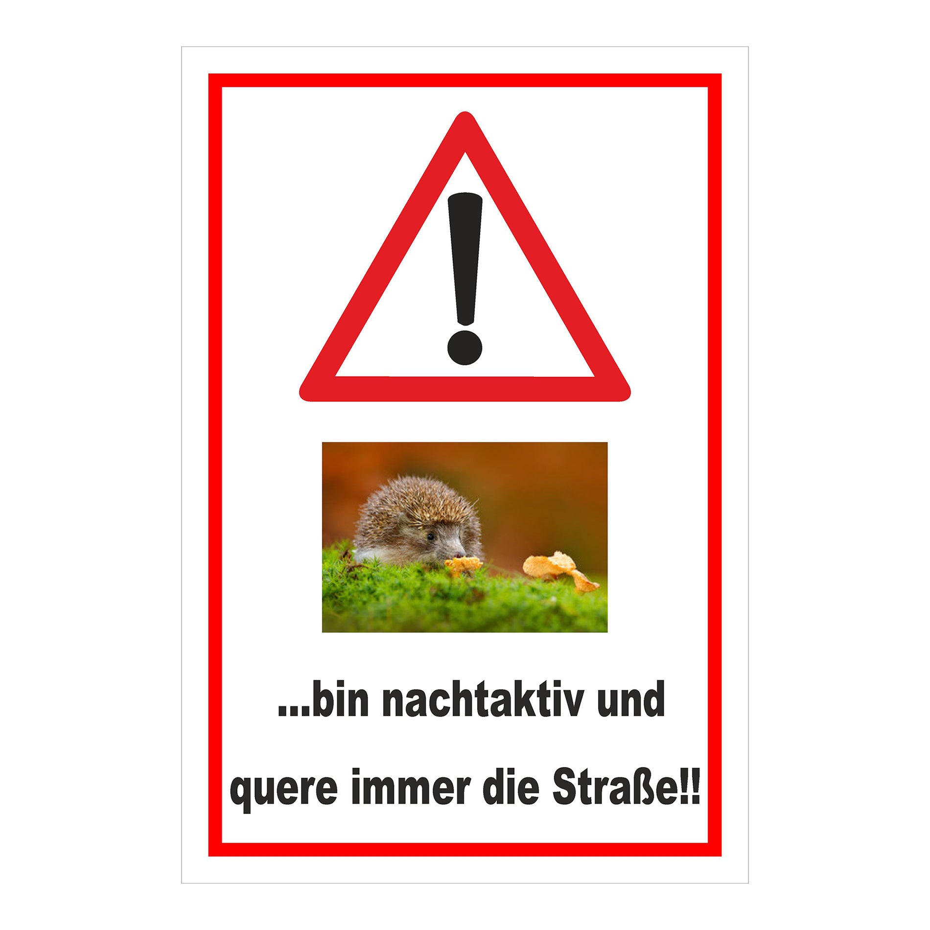 Schild Achtung Igel bin nachtaktiv und quere immer die Straße mit weißem Hintergrund und rotem Rand