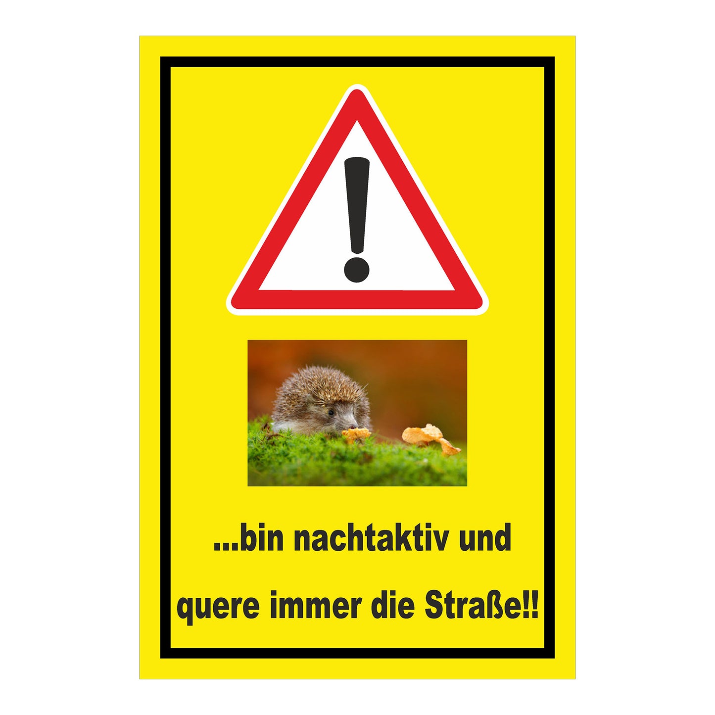 Schild Achtung Igel bin nachtaktiv und quere immer die Straße mit gelbem Hintergrund und schwarzem Rand