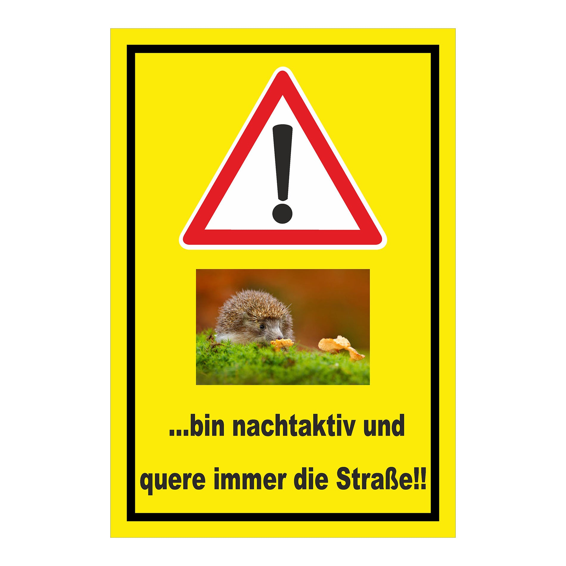 Schild Achtung Igel bin nachtaktiv und quere immer die Straße mit gelbem Hintergrund und schwarzem Rand