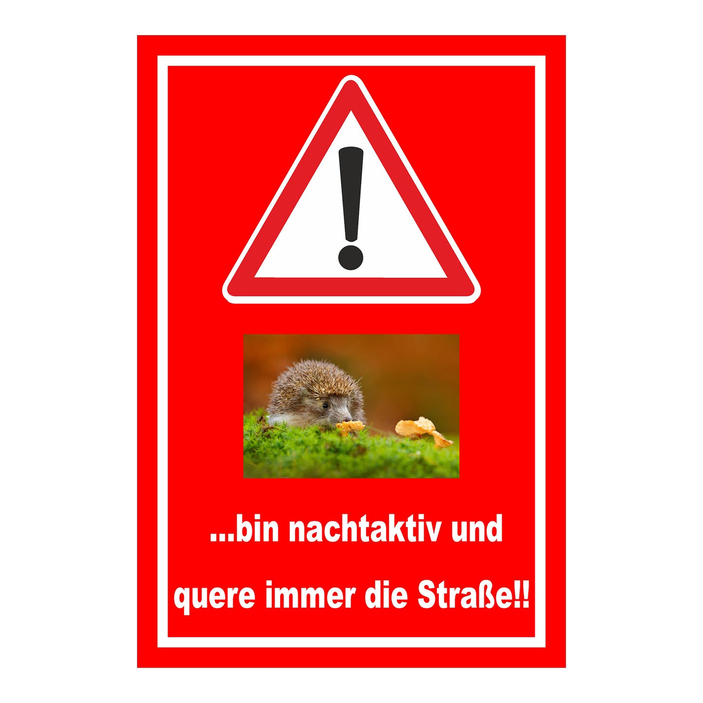 Schild Achtung Igel bin nachtaktiv und quere immer die Straße mit rotem Hintergrund und weißem Rand