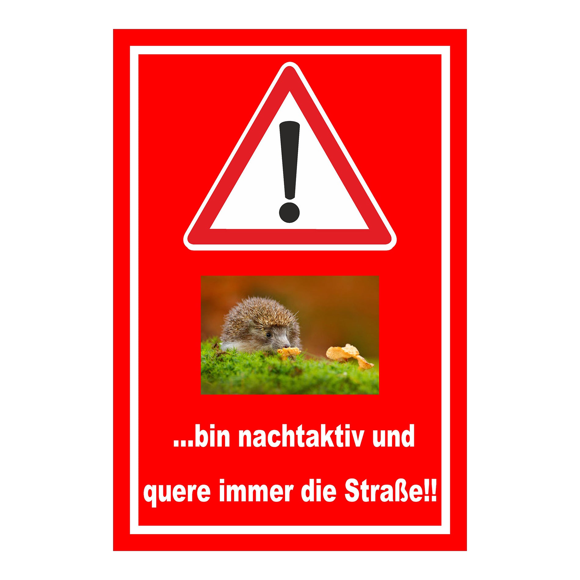 Schild Achtung Igel bin nachtaktiv und quere immer die Straße mit rotem Hintergrund und weißem Rand