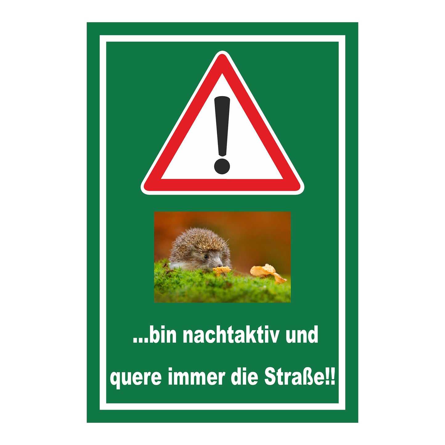 Schild Achtung Igel bin nachtaktiv und quere immer die Straße mit grünem Hintergrund und weißem Rand