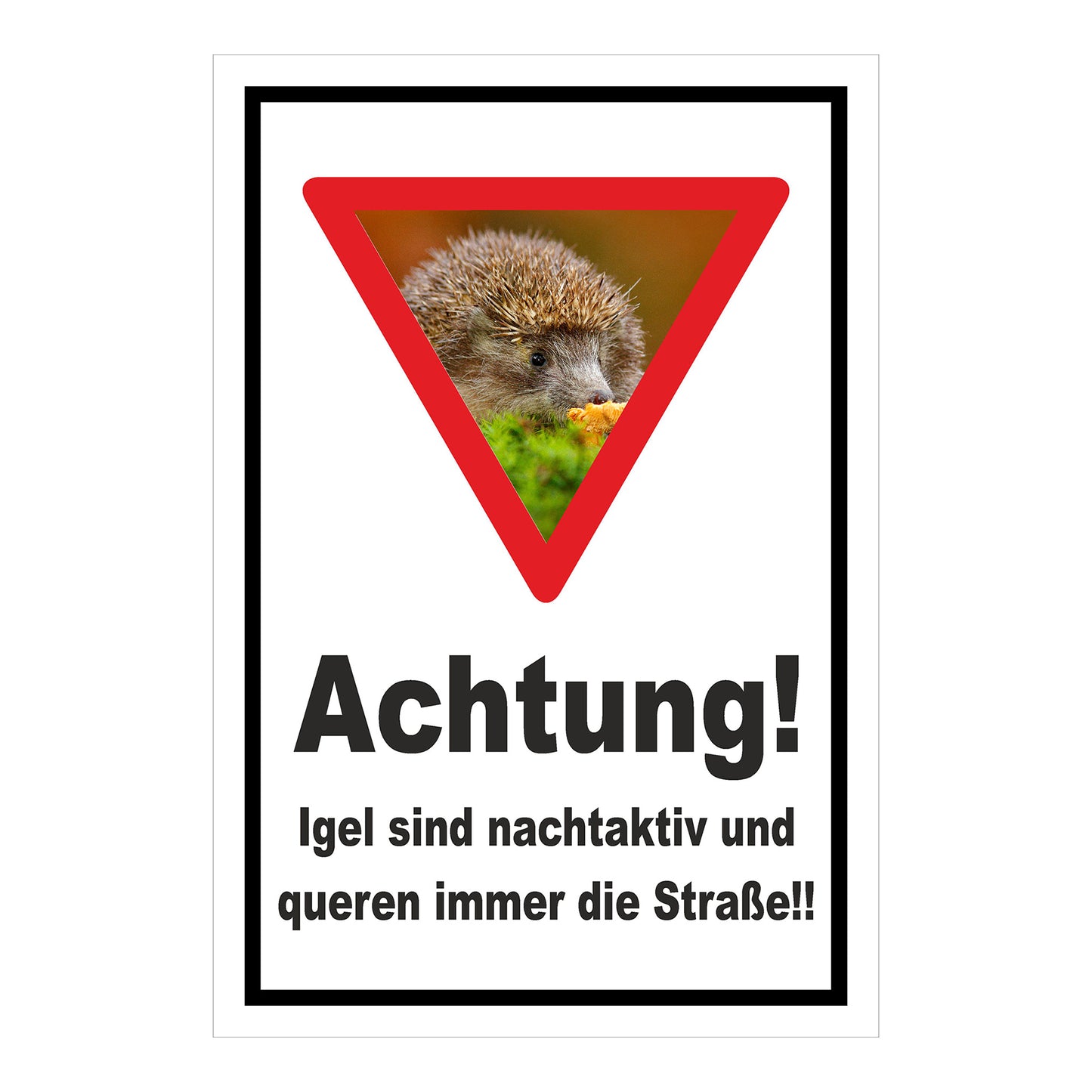 Schild Achtung Igel queren die Straße in Weiß mit schwarzem Rand