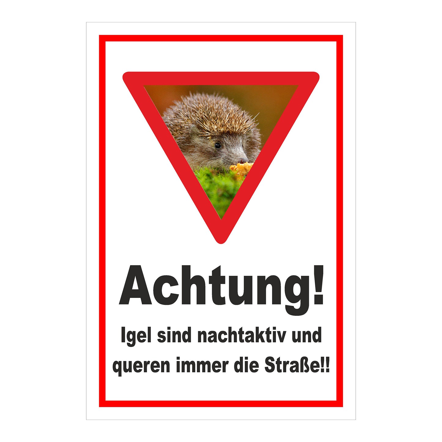 Schild Achtung Igel queren die Straße in Weiß mit rotem Rand