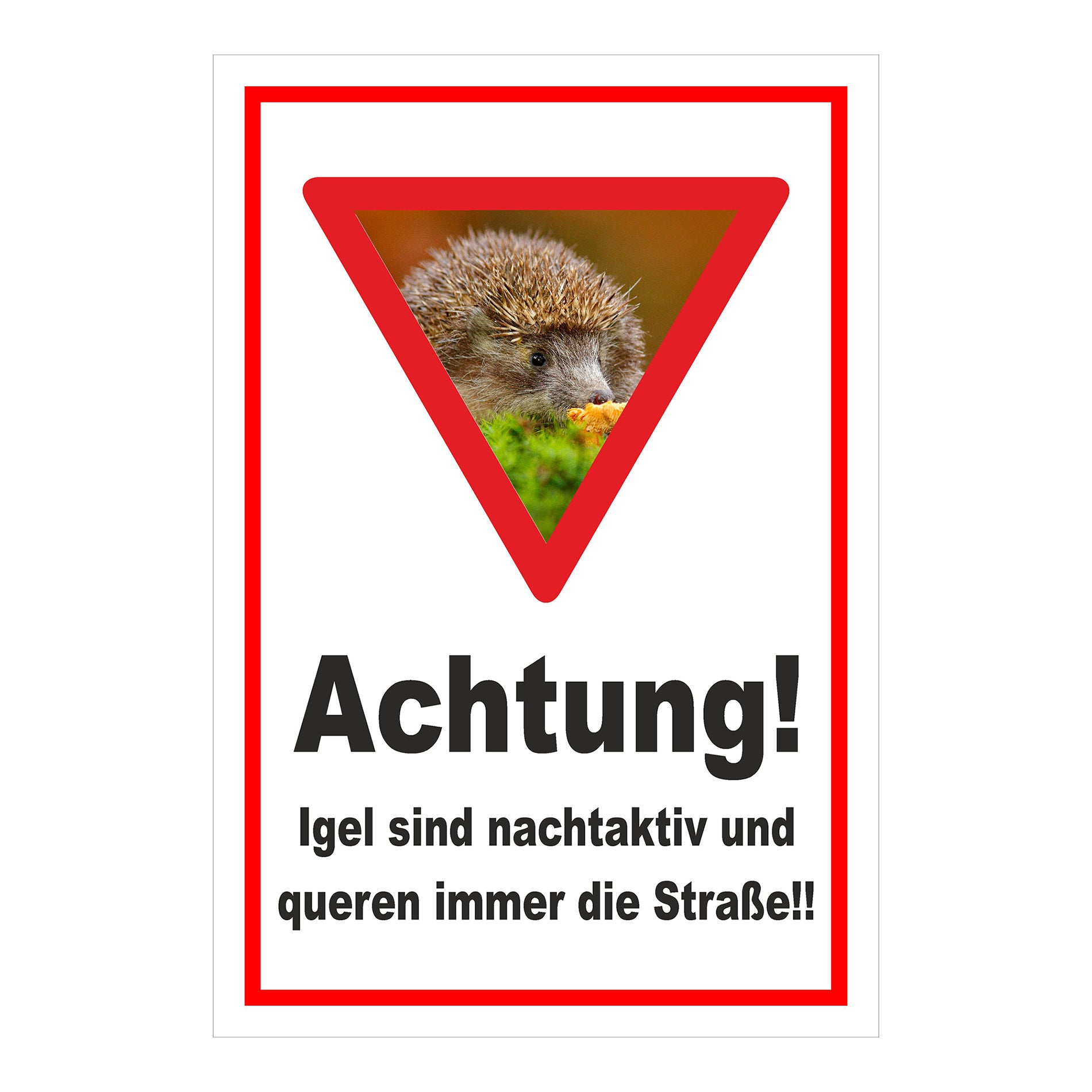 Schild Achtung Igel queren die Straße in Weiß mit rotem Rand