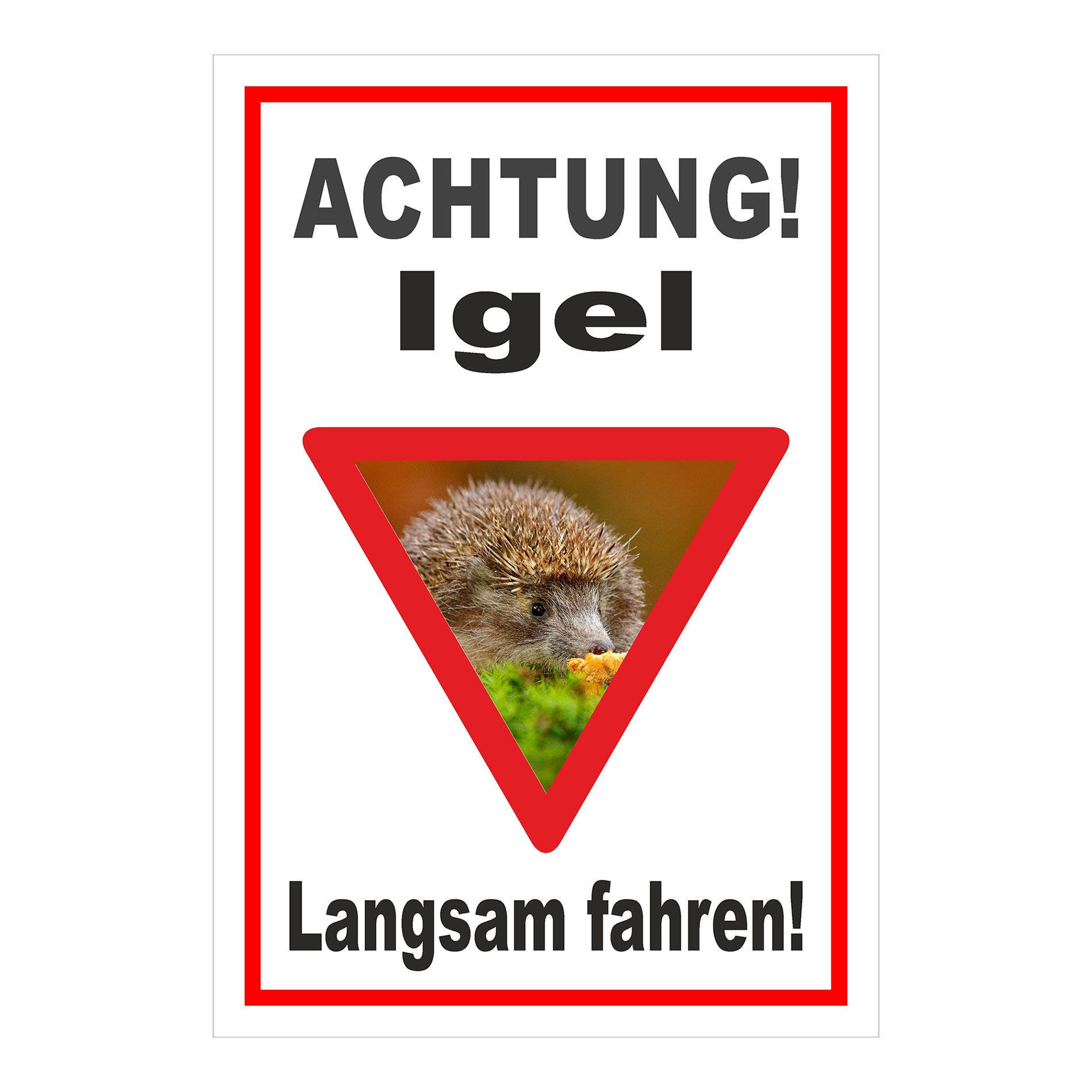Schild Achtung Igel Langsam fahren in Weiß mit rotem Rand und Warndreieck