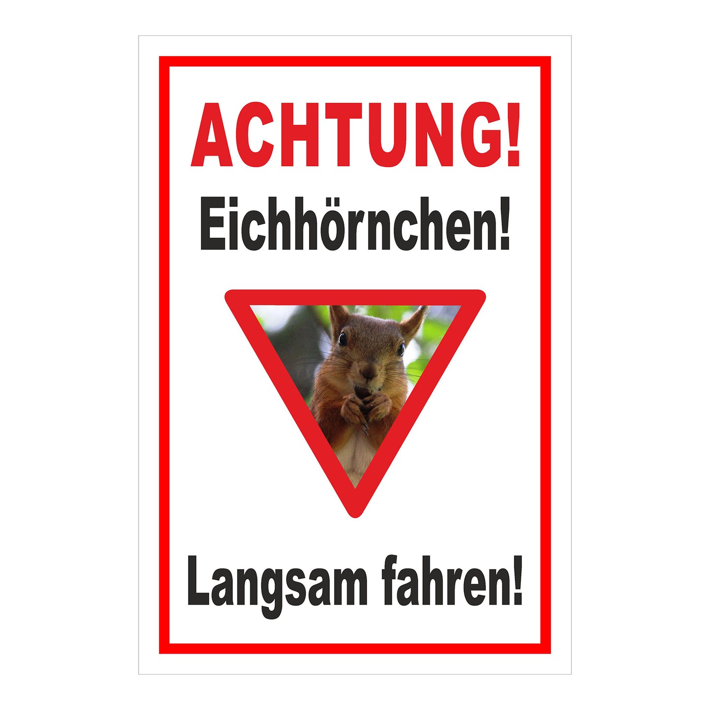 Schild Achtung Eichhörnchen Langsam fahren in Weiß mit rotem Rand