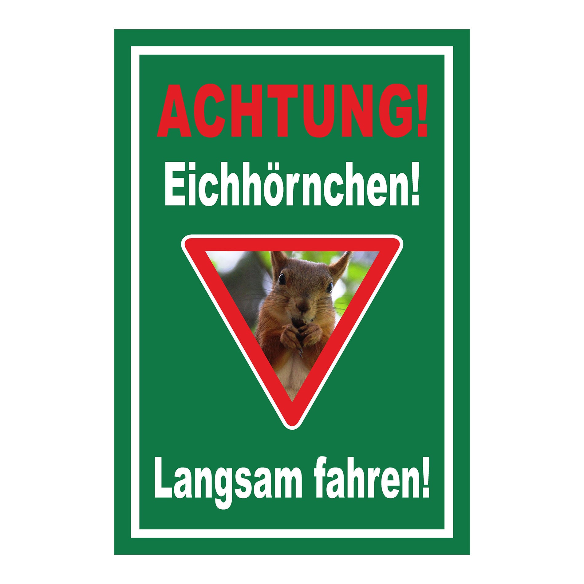Schild Achtung Eichhörnchen Langsam fahren in Grün mit weißem Rand