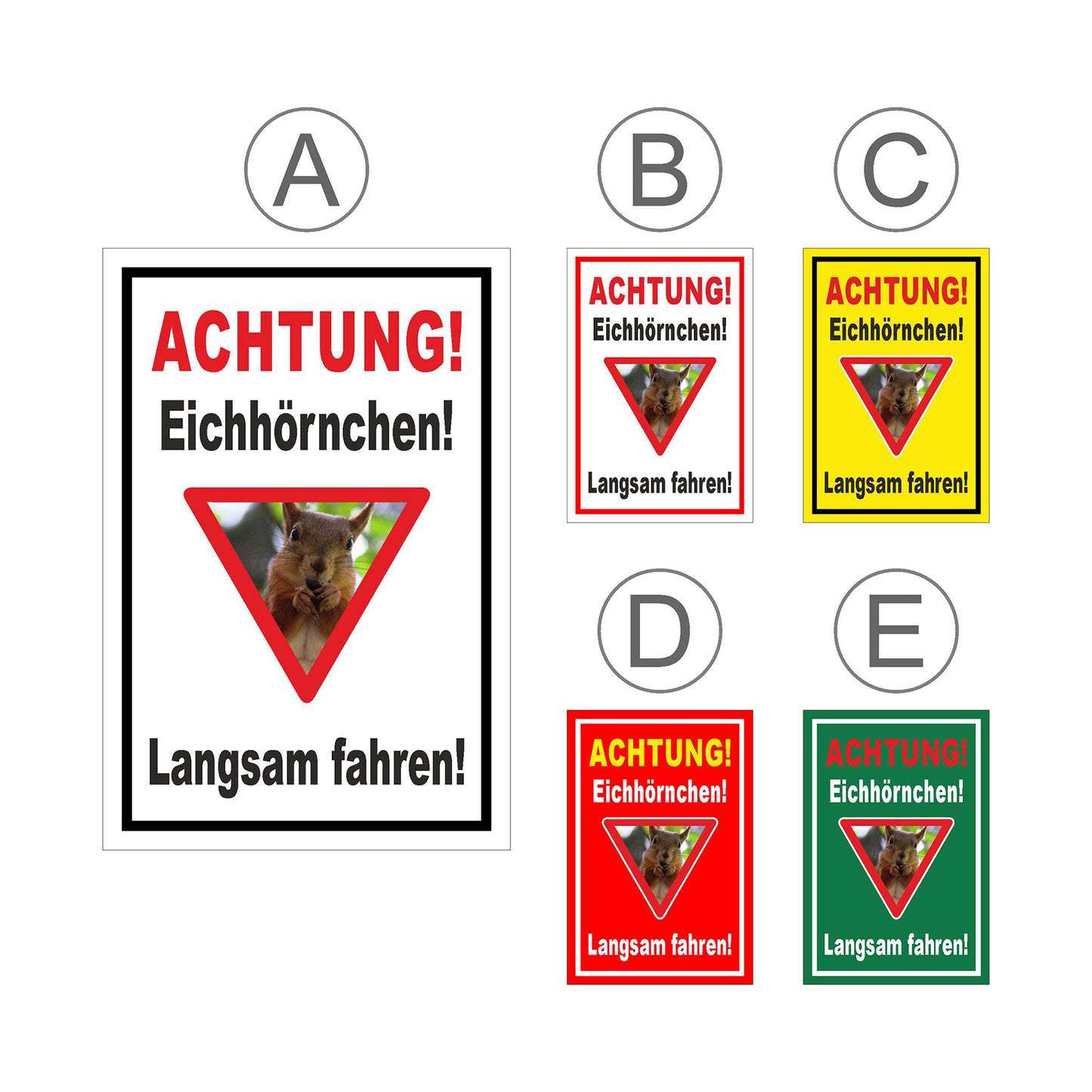Übersichtsbild Schild Achtung Eichhörnchen Langsam fahren mit allen verfügbaren Farbvarianten