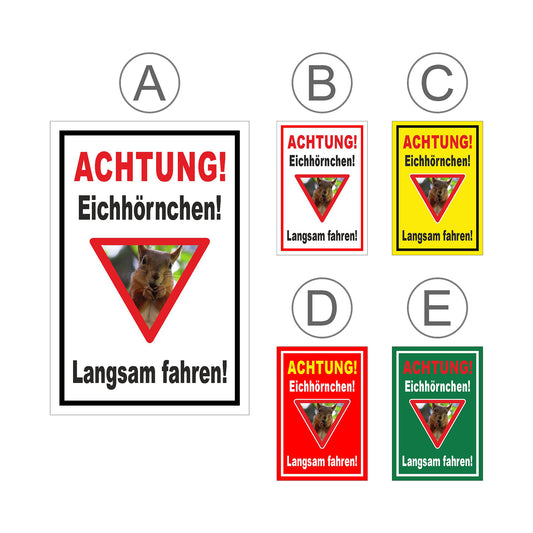 Übersichtsbild Schild Achtung Eichhörnchen Langsam fahren mit allen verfügbaren Farbvarianten