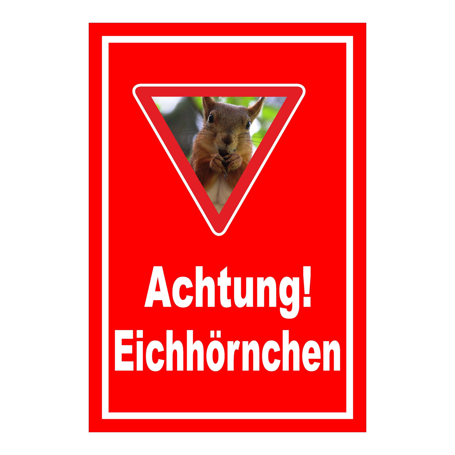 Schild Achtung Eichhörnchen mit Warndreieck und Motiv ‚Achtung! Eichhörnchen‘ in Rot mit weißem Rand