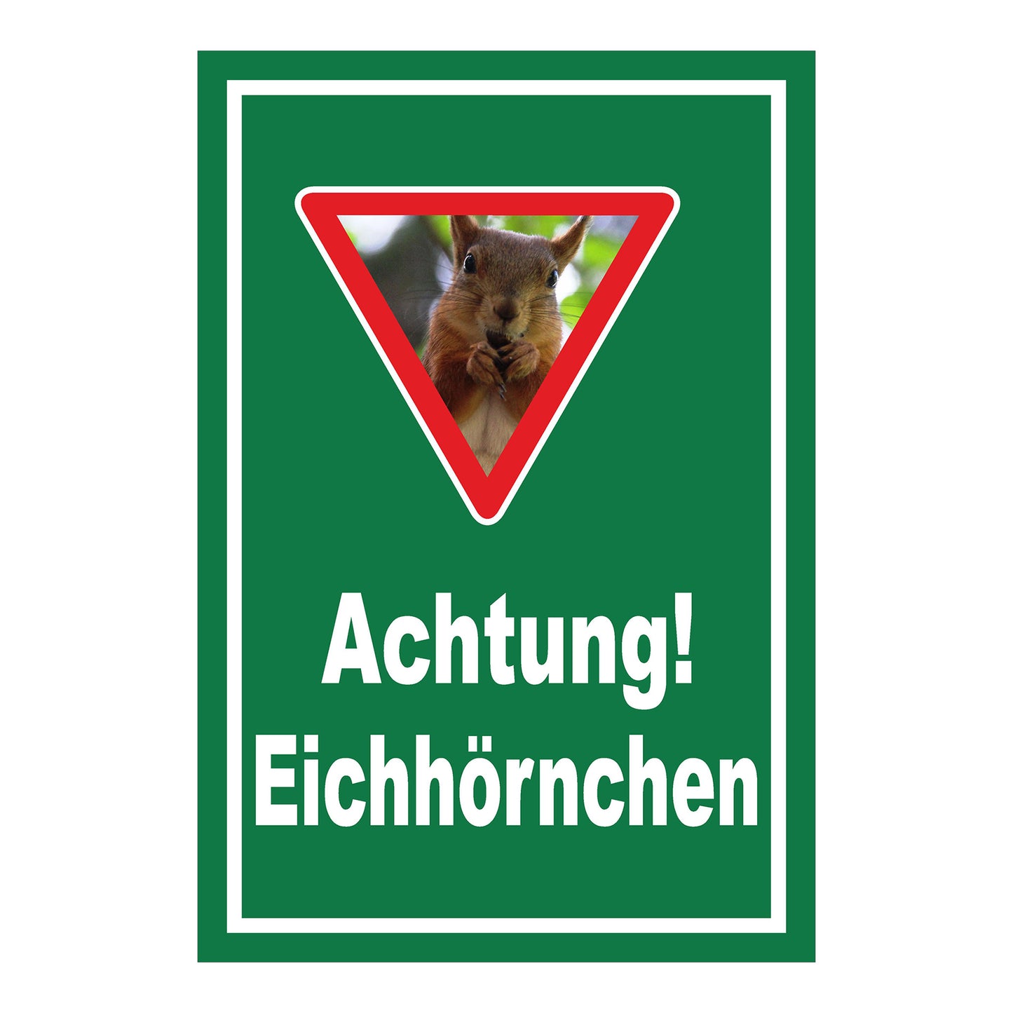 Schild Achtung Eichhörnchen mit Warndreieck und Motiv ‚Achtung! Eichhörnchen‘ in Grün mit weißem Rand