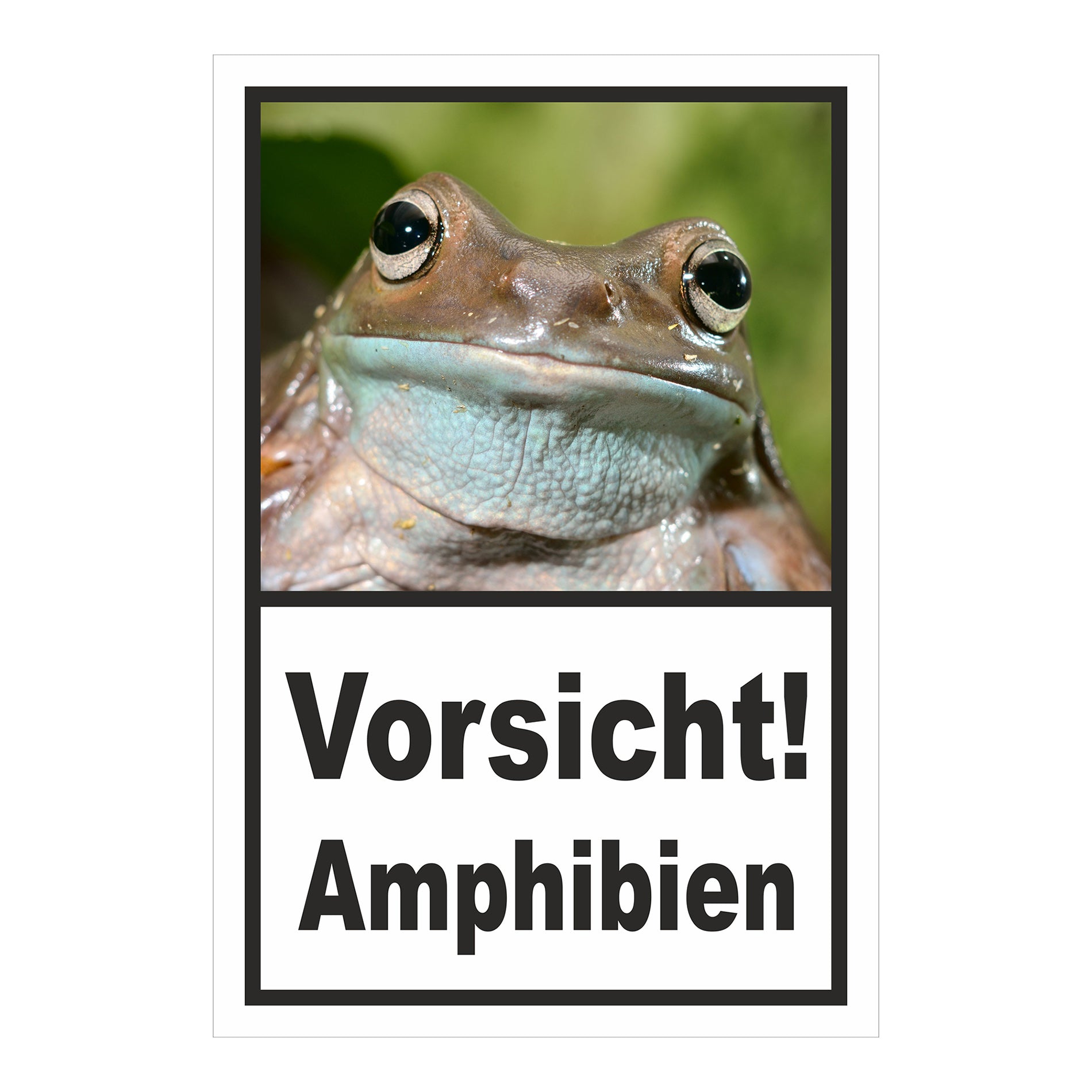 Schild Vorsicht Amphibien mit Froschmotiv „Vorsicht! Amphibien“ in Weiß mit schwarzem Rahmen