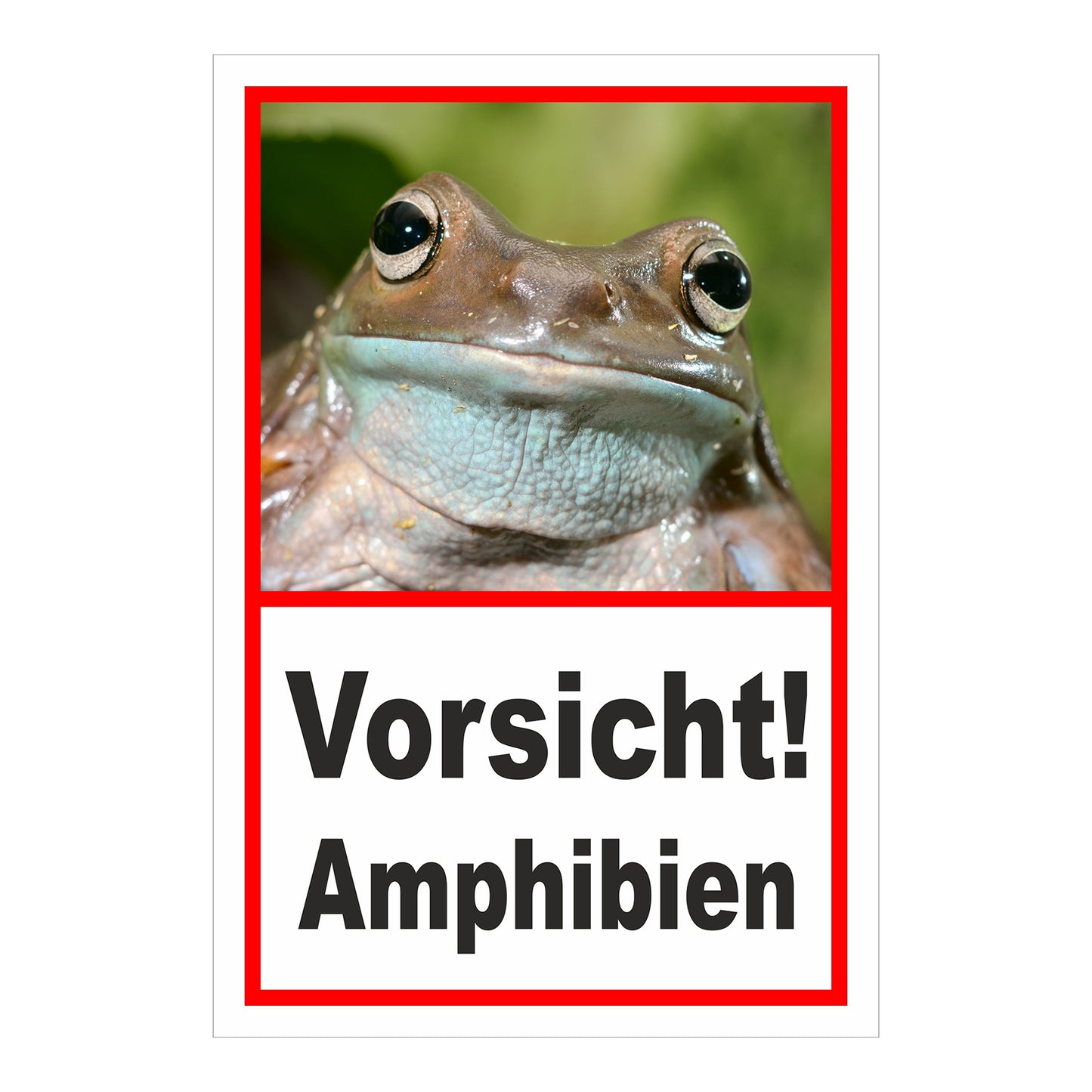 Schild Vorsicht Amphibien mit Froschmotiv „Vorsicht! Amphibien“ in Weiß mit rotem Rahmen