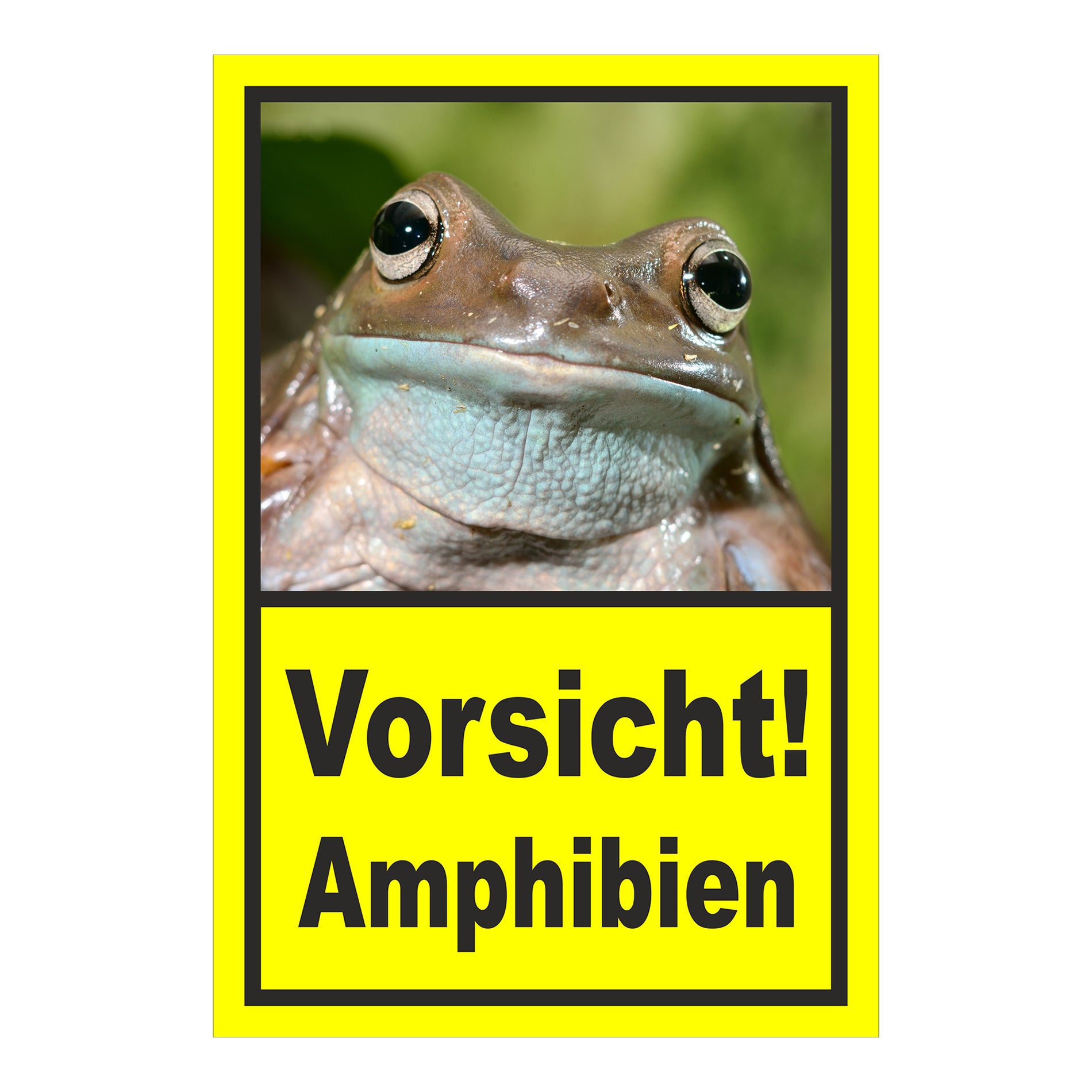 Schild Vorsicht Amphibien mit Froschmotiv „Vorsicht! Amphibien“ in Gelb mit schwarzem Rahmen