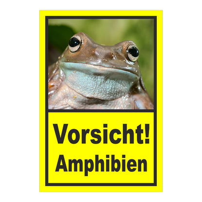 Schild Vorsicht Amphibien mit Froschmotiv „Vorsicht! Amphibien“ in Gelb mit schwarzem Rahmen