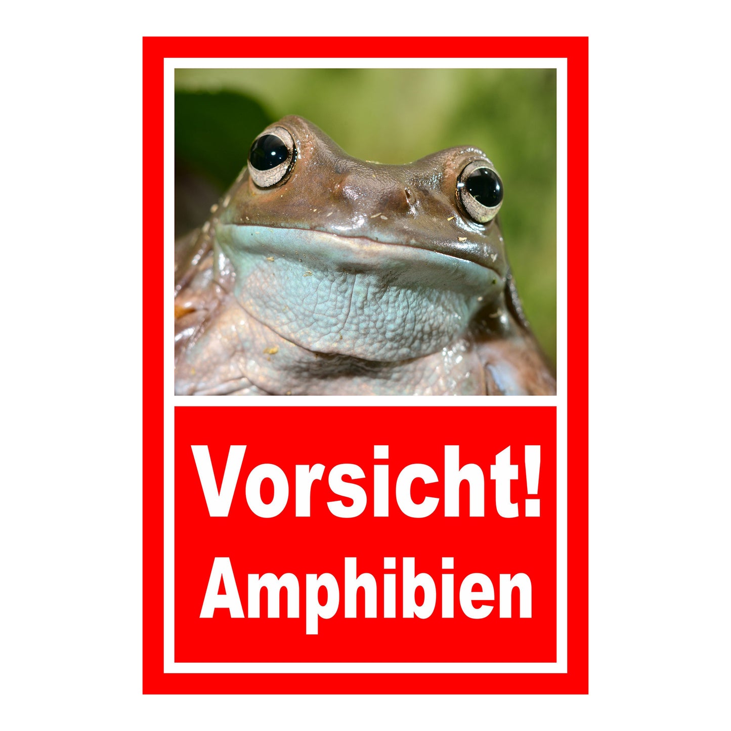 Schild Vorsicht Amphibien mit Froschmotiv „Vorsicht! Amphibien“ in Rot mit weißer Schrift