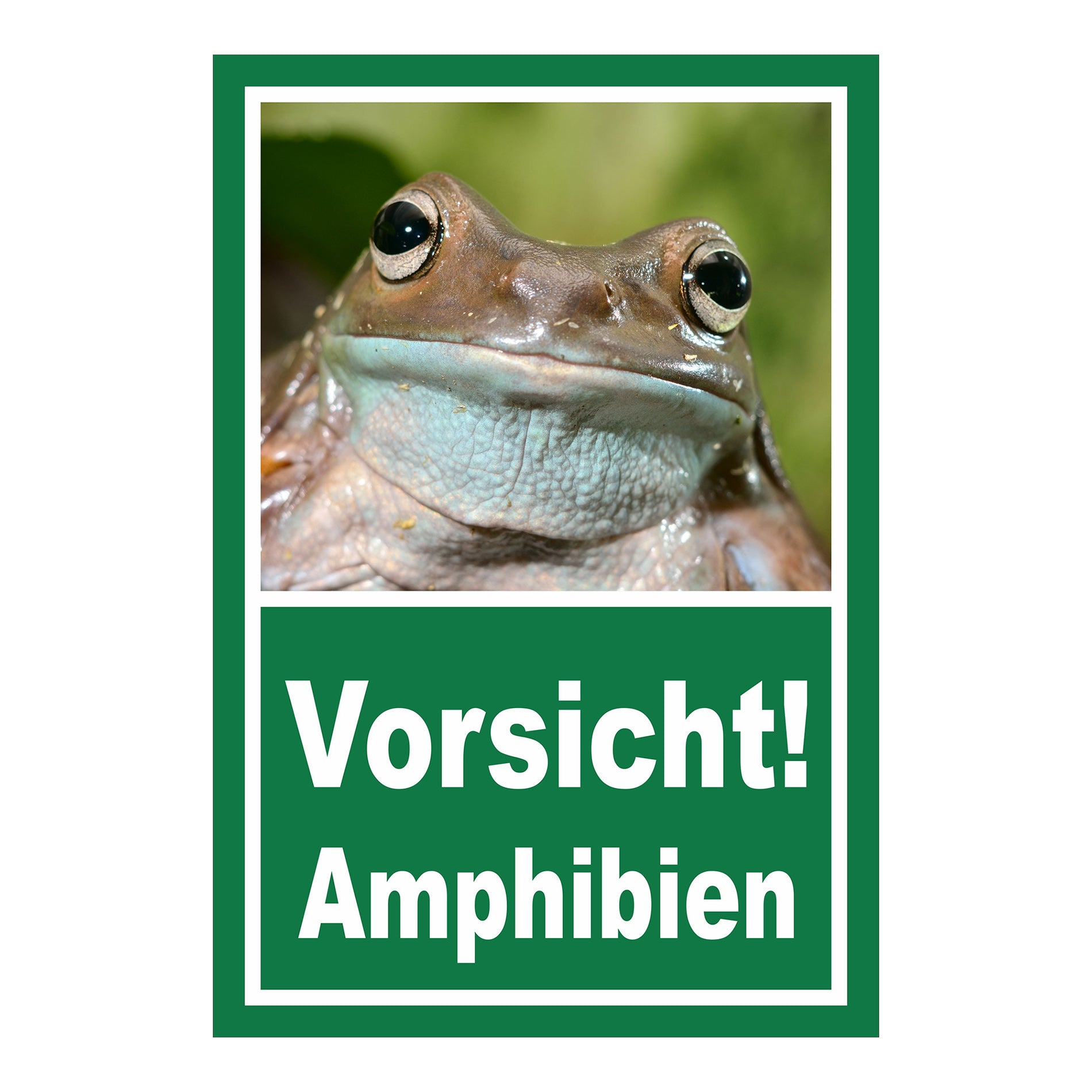Schild Vorsicht Amphibien mit Froschmotiv „Vorsicht! Amphibien“ in Grün mit weißer Schrift