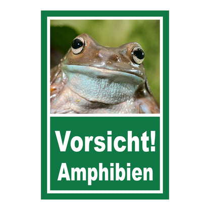 Schild Vorsicht Amphibien mit Froschmotiv „Vorsicht! Amphibien“ in Grün mit weißer Schrift
