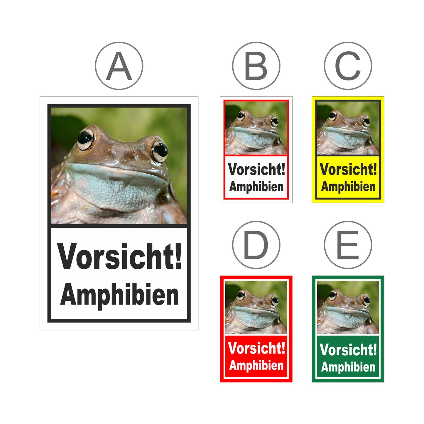 Übersichtsbild Schild Vorsicht Amphibien mit Froschmotiv „Vorsicht! Amphibien“ mit allen verfügbaren Farbvarianten