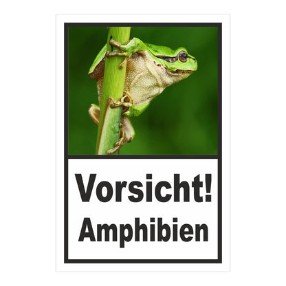 Schild Amphibien Vorsicht Hinweis mit Froschmotiv ‚Vorsicht! Amphibien‘ in Weiß mit schwarzem Rand