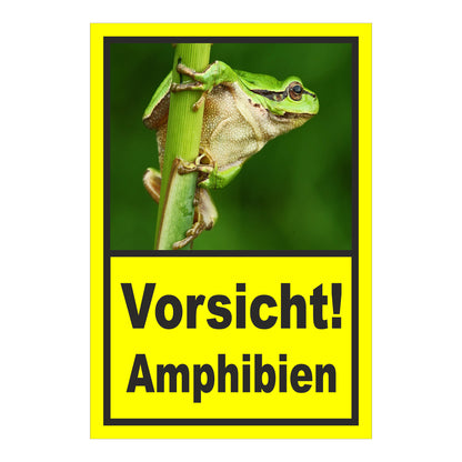 Schild Amphibien Vorsicht Hinweis mit Froschmotiv ‚Vorsicht! Amphibien‘ in Gelb mit schwarzem Rand