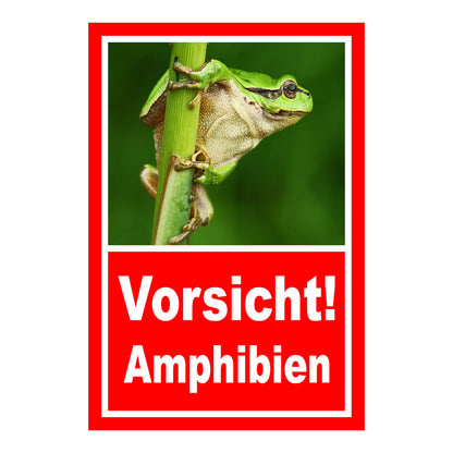 Schild Amphibien Vorsicht Hinweis mit Froschmotiv ‚Vorsicht! Amphibien‘ in Rot mit weißer Schrift