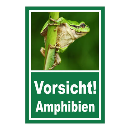 Schild Amphibien Vorsicht Hinweis mit Froschmotiv ‚Vorsicht! Amphibien‘ in Grün mit weißer Schrift