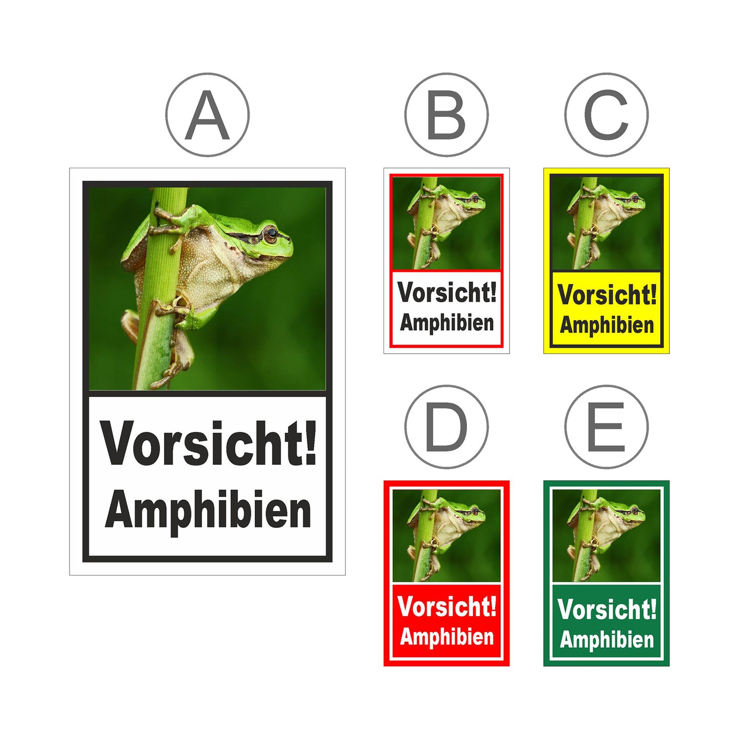 Übersichtsbild Schild Amphibien Vorsicht Hinweis mit Froschmotiv ‚Vorsicht! Amphibien‘ mit allen Farbvarianten