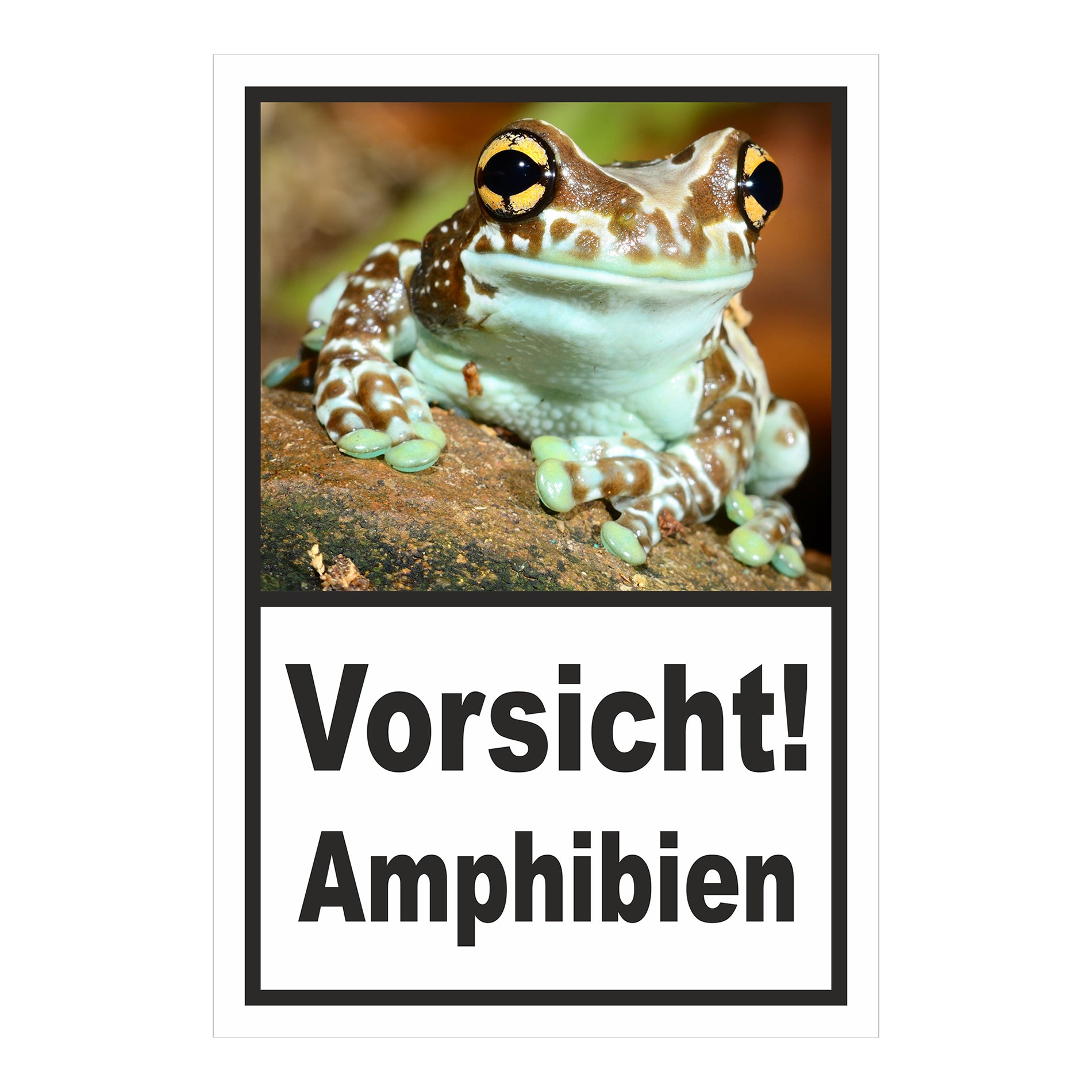 Schild Vorsicht Amphibien mit Froschmotiv ‚Vorsicht! Amphibien‘ in Weiß mit schwarzem Rahmen