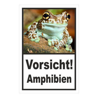 Schild Vorsicht Amphibien mit Froschmotiv ‚Vorsicht! Amphibien‘ in Weiß mit schwarzem Rahmen