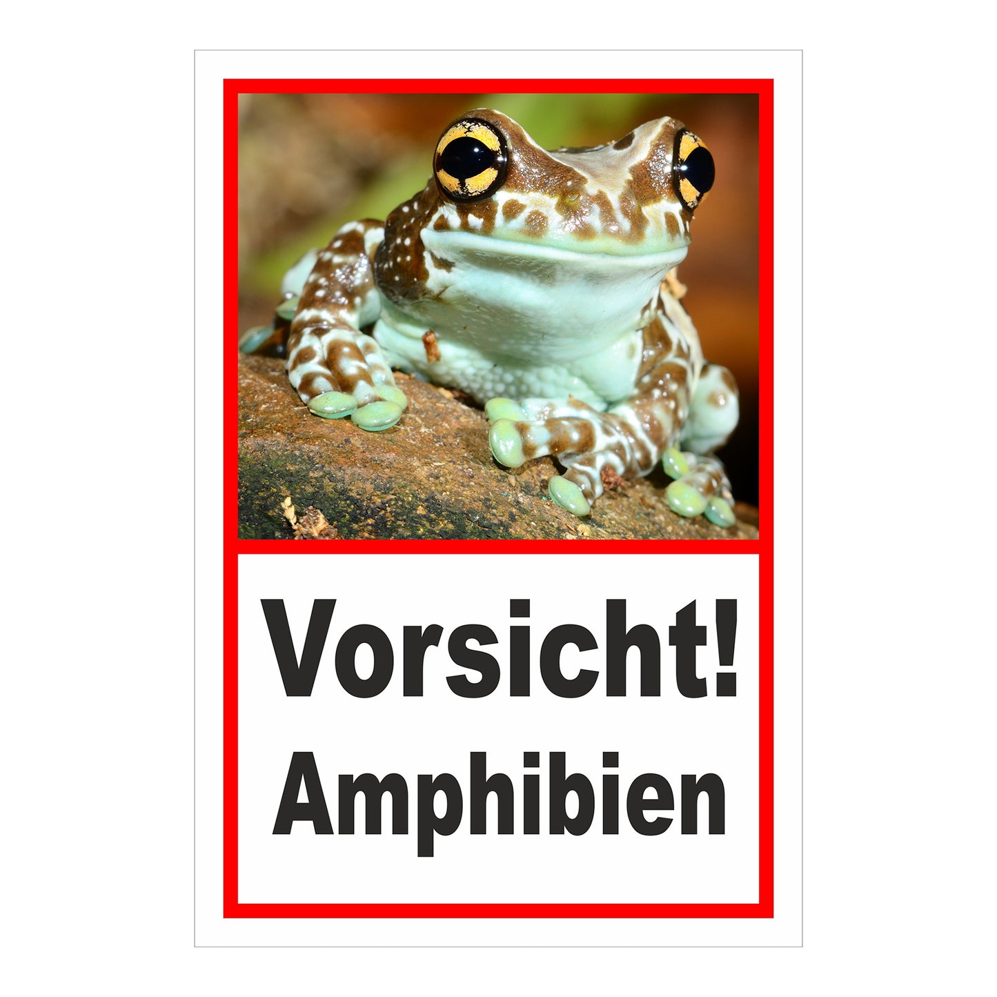 Schild Vorsicht Amphibien mit Froschmotiv ‚Vorsicht! Amphibien‘ in Weiß mit rotem Rahmen