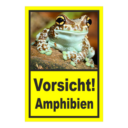 Schild Vorsicht Amphibien mit Froschmotiv ‚Vorsicht! Amphibien‘ in Gelb mit schwarzem Rahmen