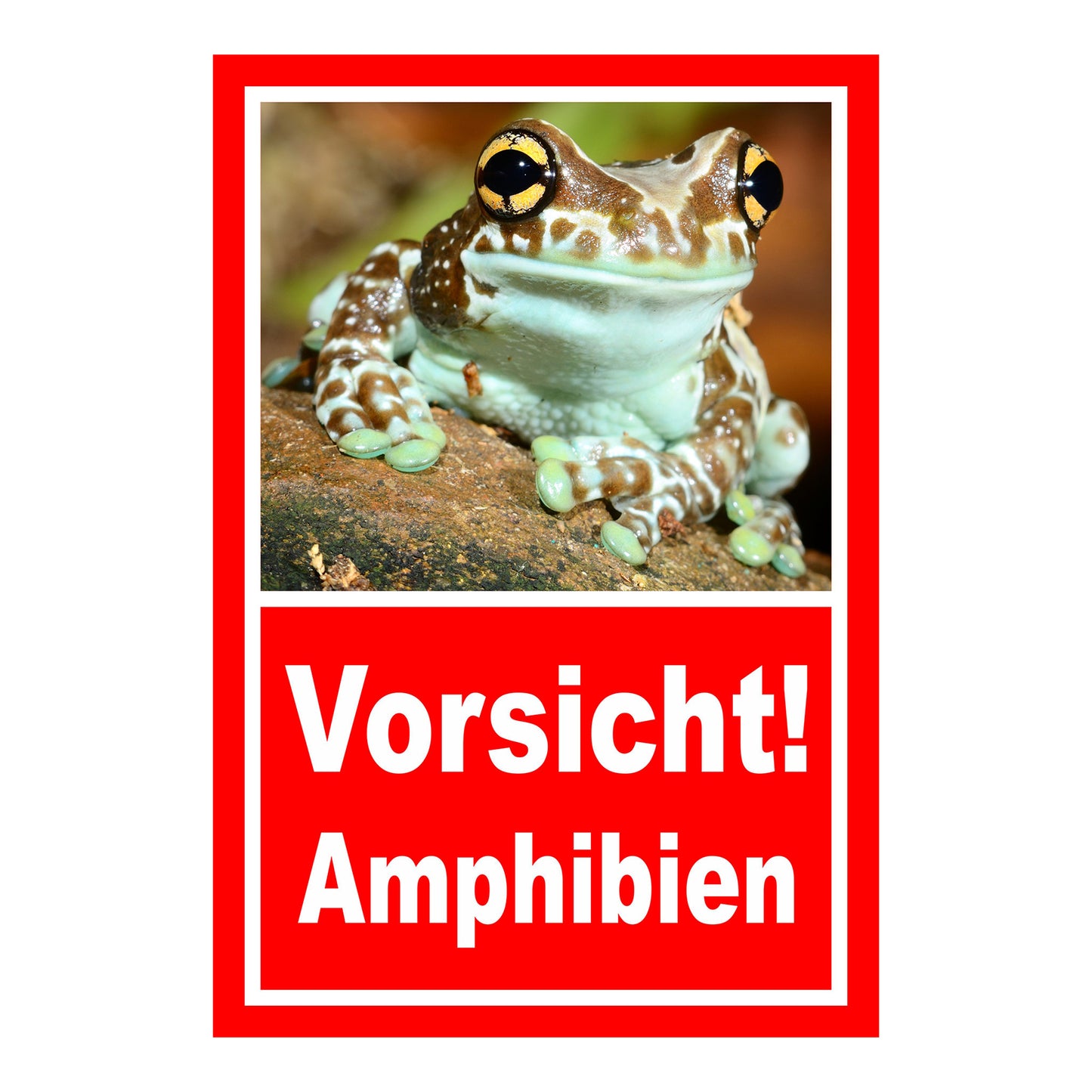 Schild Vorsicht Amphibien mit Froschmotiv ‚Vorsicht! Amphibien‘ in Rot mit weißer Schrift