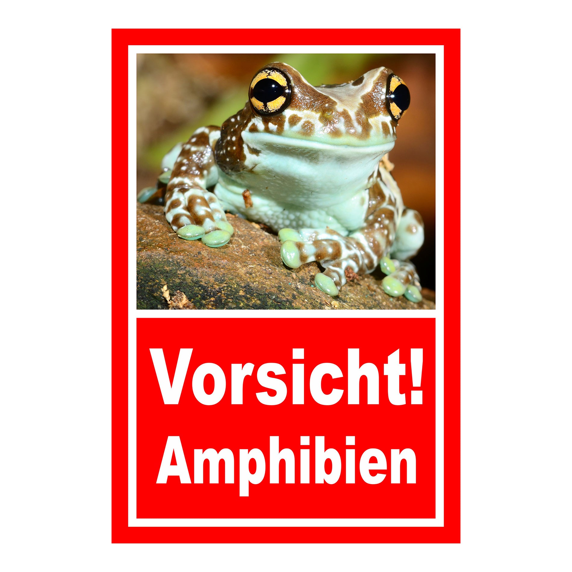 Schild Vorsicht Amphibien mit Froschmotiv ‚Vorsicht! Amphibien‘ in Rot mit weißer Schrift