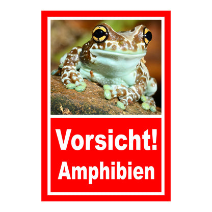 Schild Vorsicht Amphibien mit Froschmotiv ‚Vorsicht! Amphibien‘ in Rot mit weißer Schrift