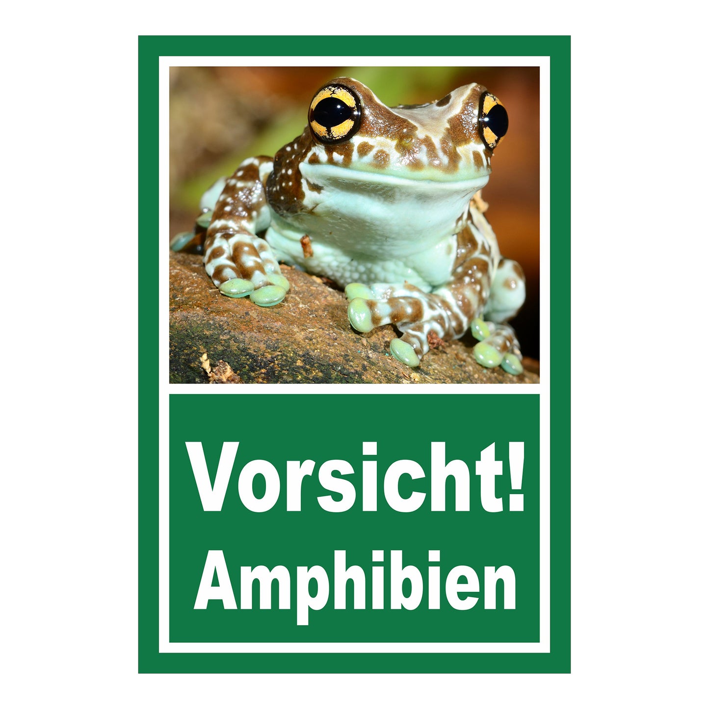 Schild Vorsicht Amphibien mit Froschmotiv ‚Vorsicht! Amphibien‘ in Grün mit weißer Schrift