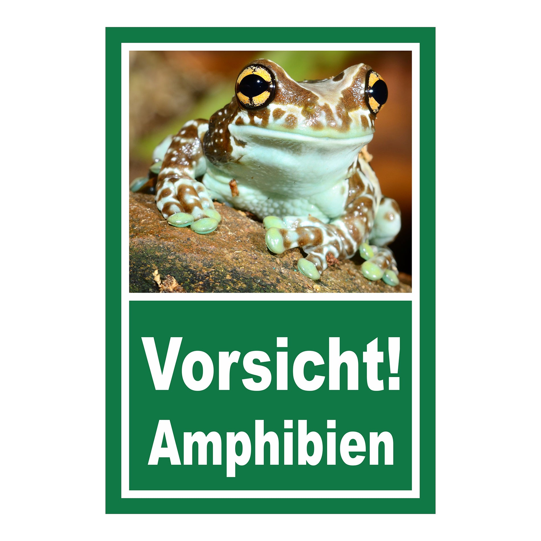 Schild Vorsicht Amphibien mit Froschmotiv ‚Vorsicht! Amphibien‘ in Grün mit weißer Schrift