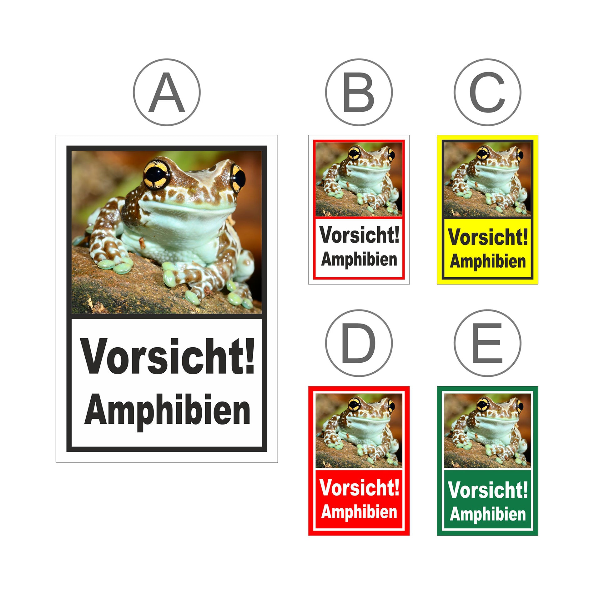 Übersichtsbild Schild Vorsicht Amphibien mit Froschmotiv ‚Vorsicht! Amphibien‘ mit allen verfügbaren Farbvarianten