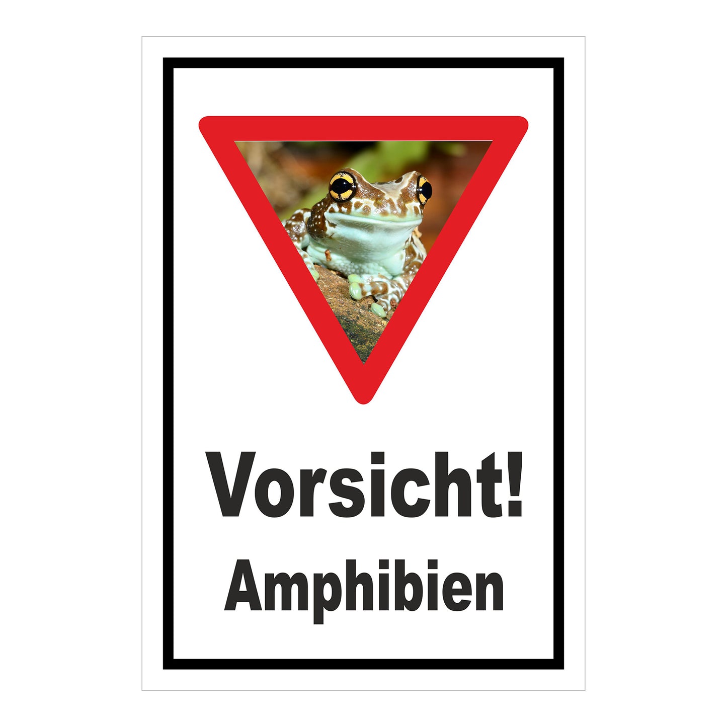 Schild Vorsicht Amphibien mit Froschmotiv ‚Vorsicht! Amphibien‘ in Weiß mit schwarzem Rand und rotem Dreieck