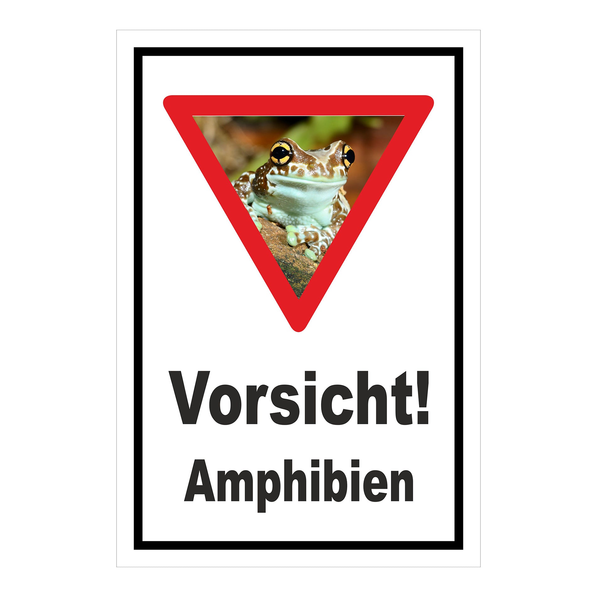 Schild Vorsicht Amphibien mit Froschmotiv ‚Vorsicht! Amphibien‘ in Weiß mit schwarzem Rand und rotem Dreieck