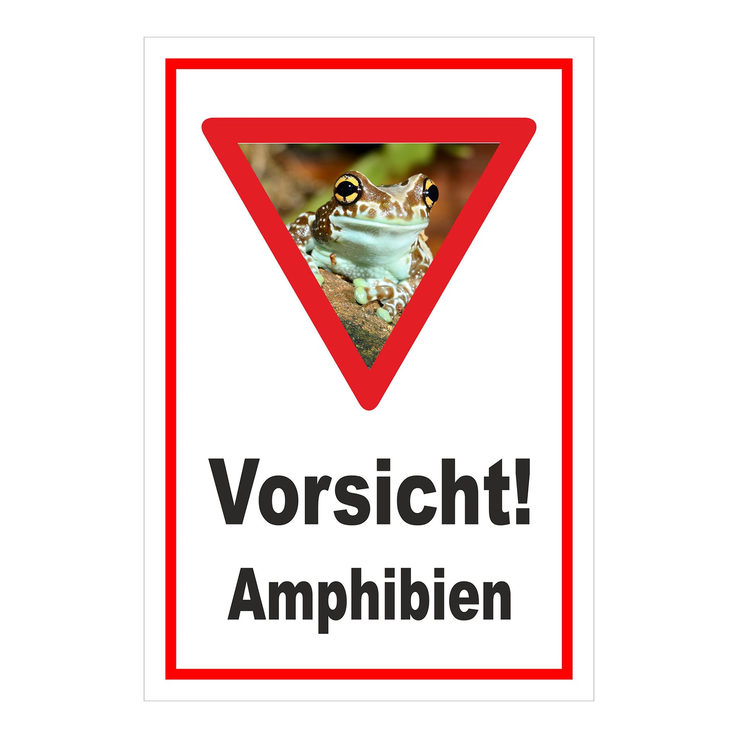 Schild Vorsicht Amphibien mit Froschmotiv ‚Vorsicht! Amphibien‘ in Weiß mit rotem Rand und rotem Dreieck