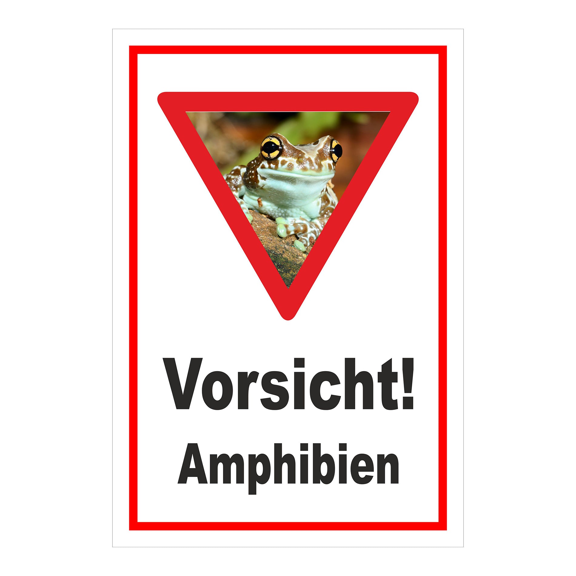 Schild Vorsicht Amphibien mit Froschmotiv ‚Vorsicht! Amphibien‘ in Weiß mit rotem Rand und rotem Dreieck